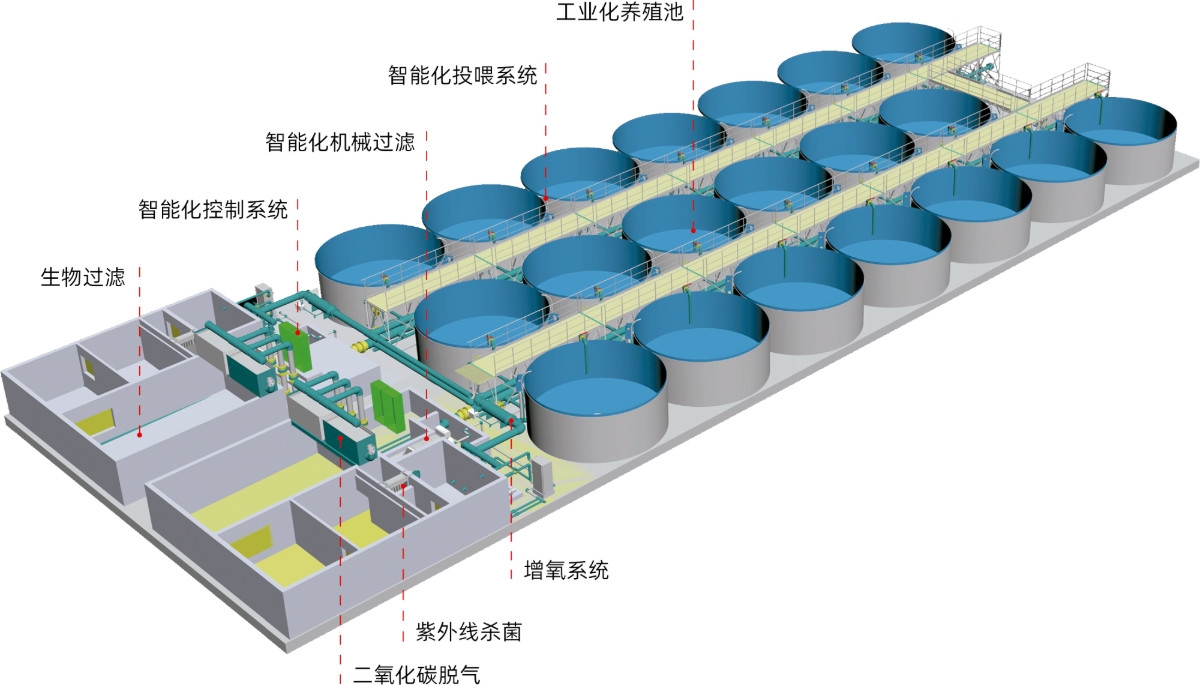 陆基生态化循环水水产养殖系统