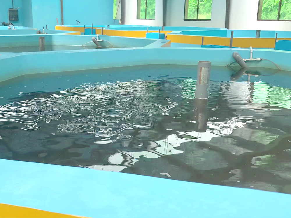 贵州三穗- 淡水鱼类 - 淡水