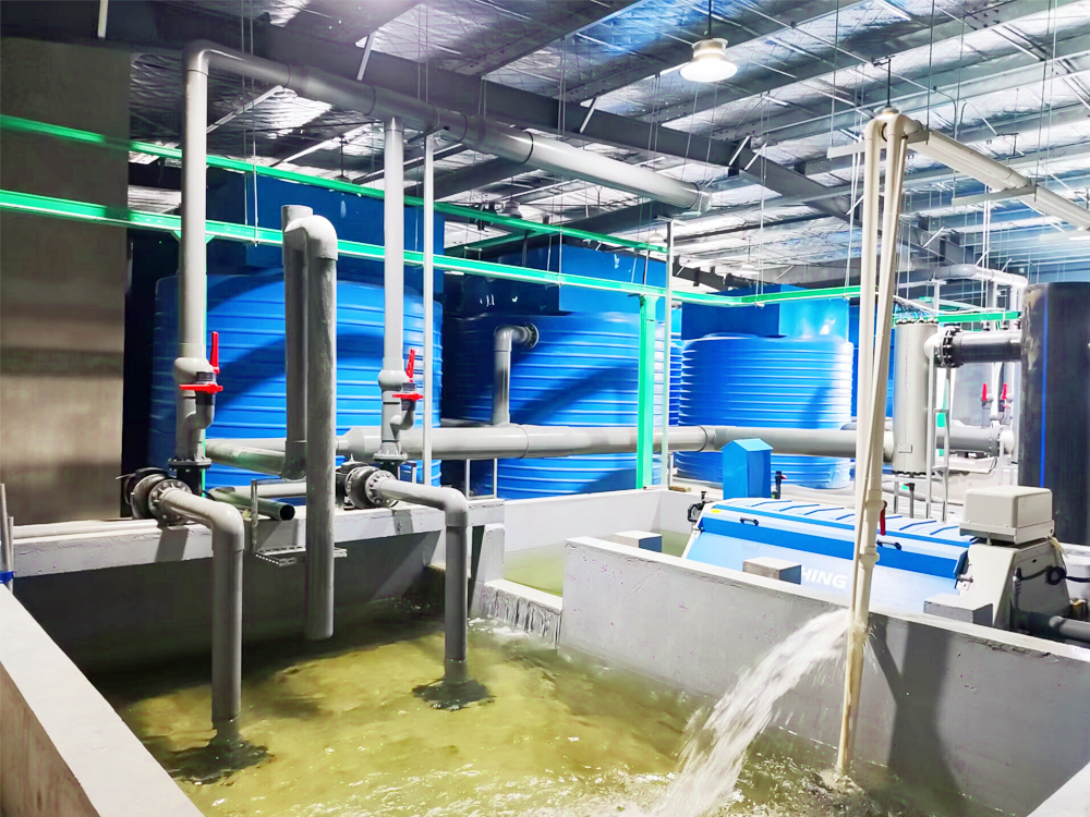 浙江南浔- 加州鲈鱼 - 淡水