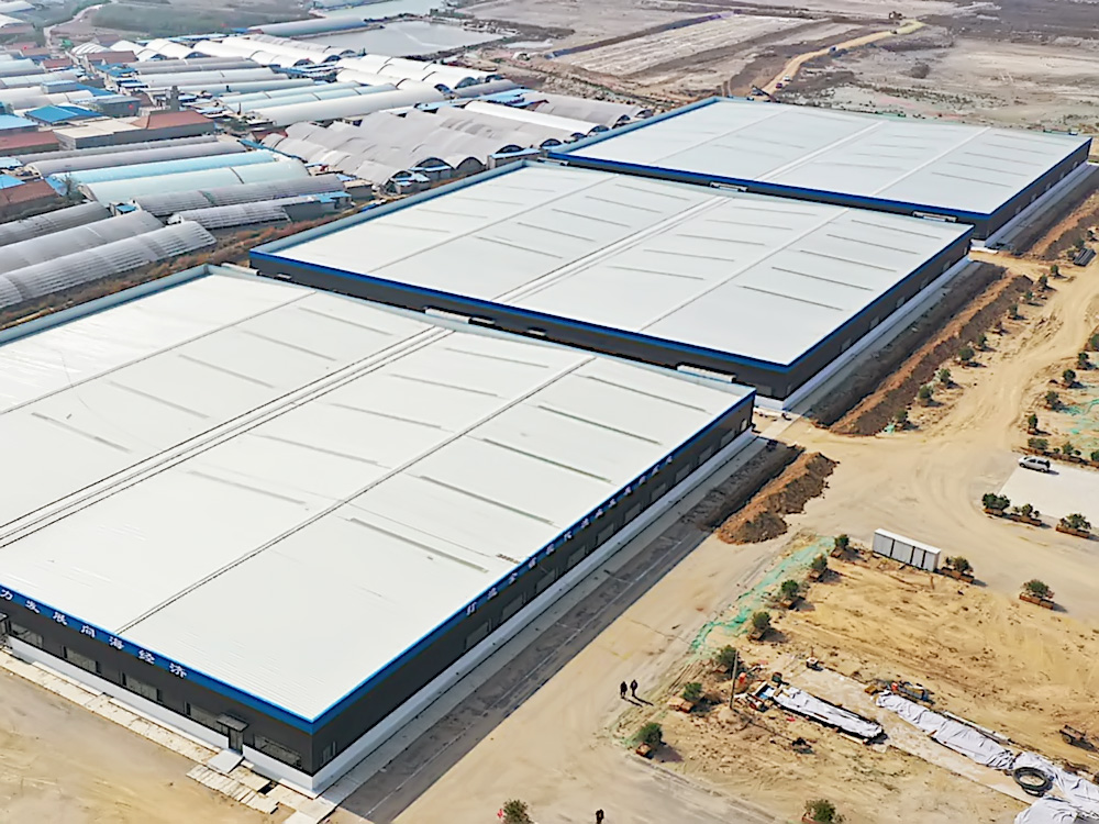 山东日照 - 石斑鱼类 - 海水