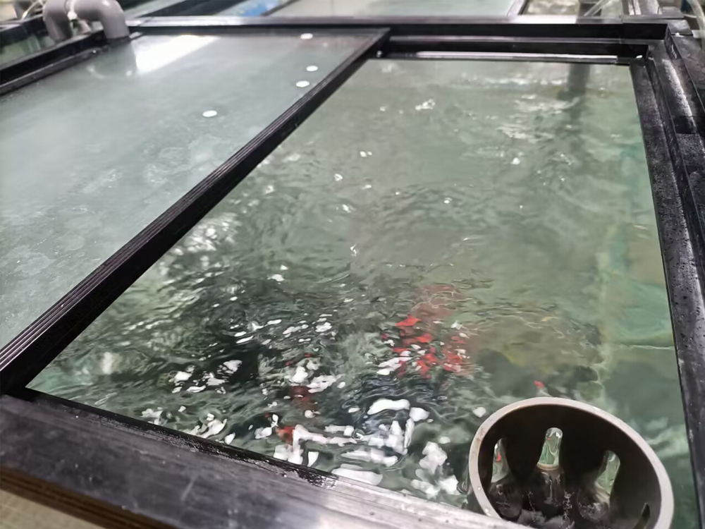 海南省海洋与渔业科学院