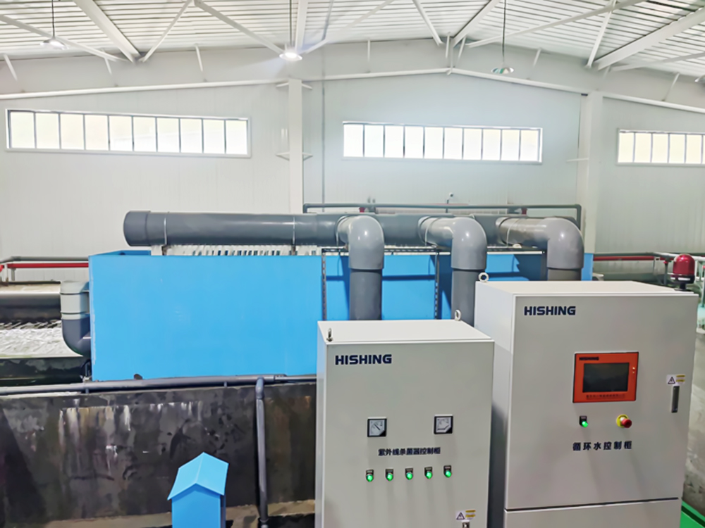 西藏亚东 - 亚东鲑鱼-淡水