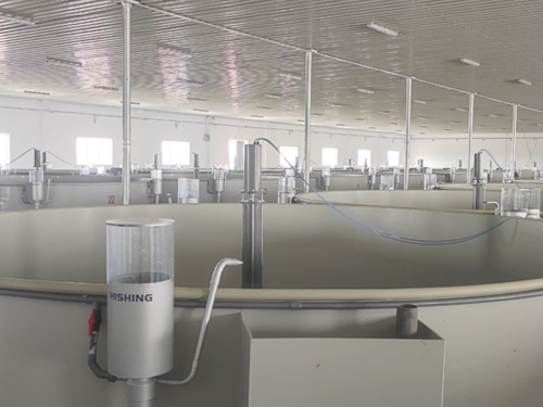 智能化固定式气吹投喂系统