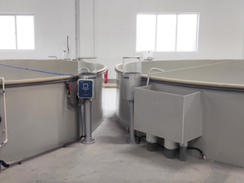 智能化固定式气吹投喂系统