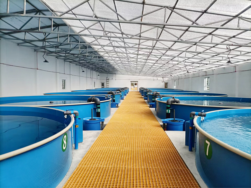 聚丙烯（PP) 焊接养殖桶