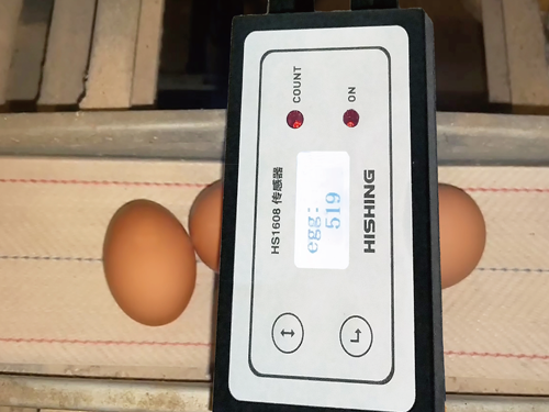 激光鸡蛋计数系统